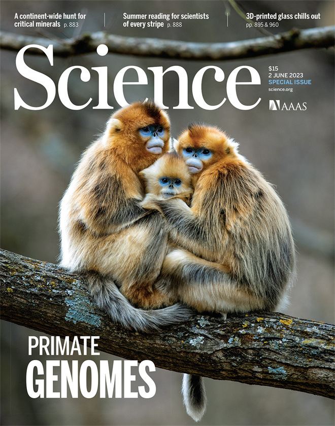 Science封面文章:15vip太阳集团官网金丝猴研究团队首次系统揭示灵长类社会演化之谜_fororder_《自然》封面.JPG